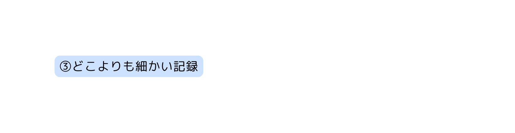 どこよりも細かい記録